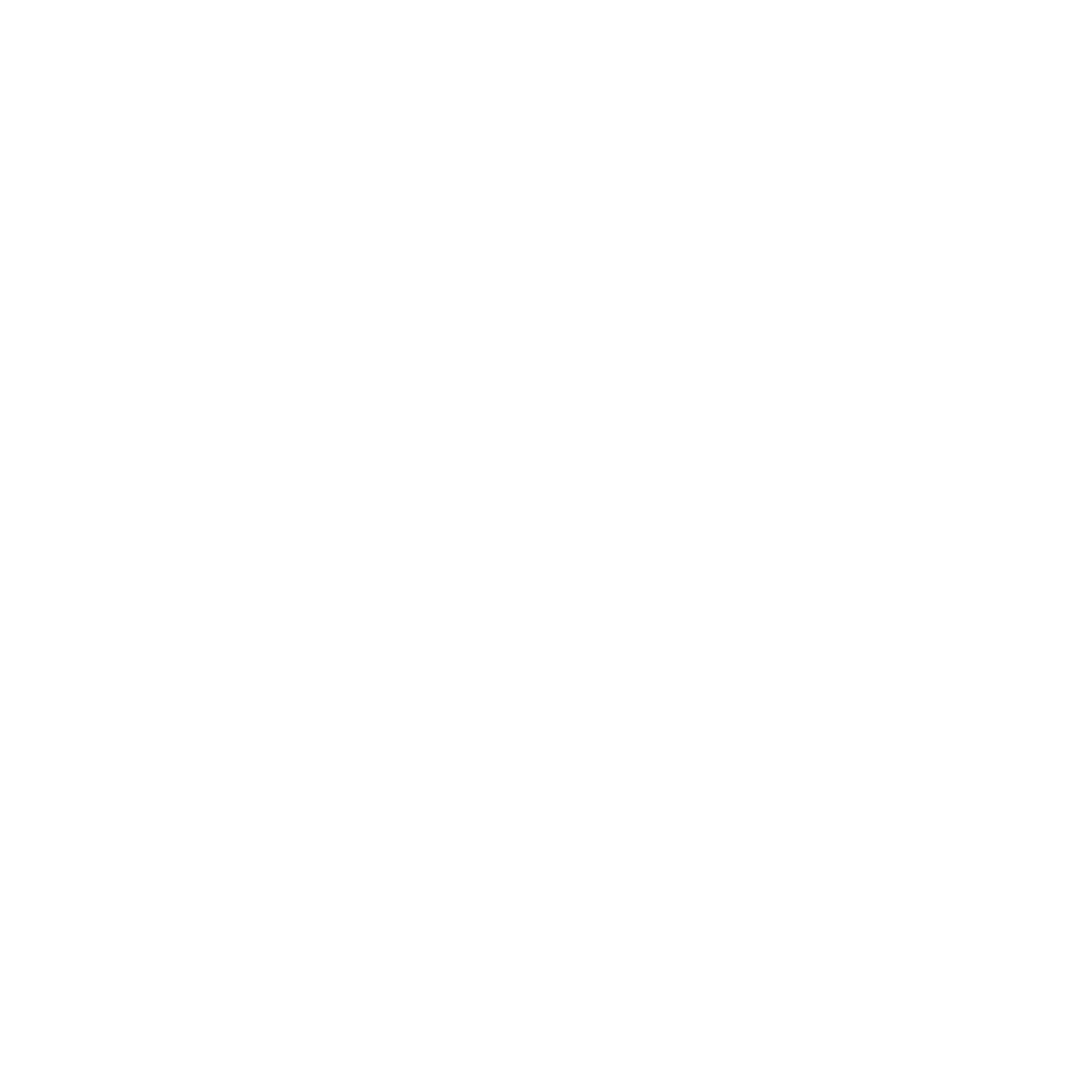 The Pro Lane  | undefined Logo
